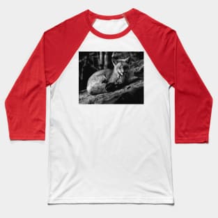 Red Fox Baseball T-Shirt